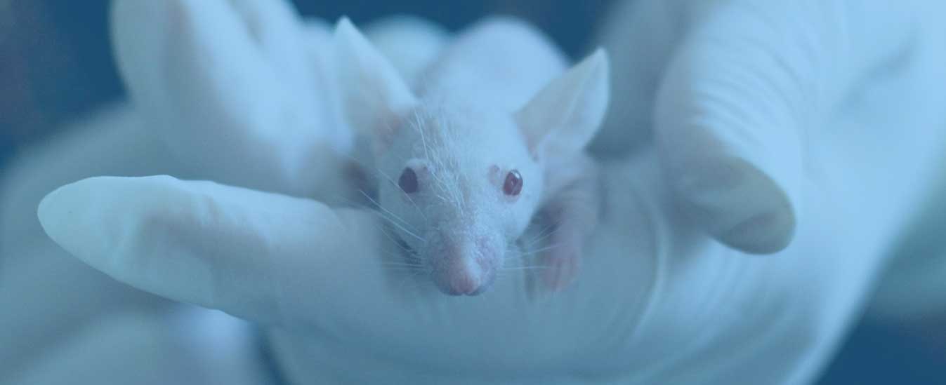ASOCIAŢIA ROMÂNĂ PENTRU ŞTIINŢA ANIMALELOR DE LABORATOR ASOCIAŢIA ROMÂNĂ PENTRU ŞTIINŢA ANIMALELOR DE LABORATOR
